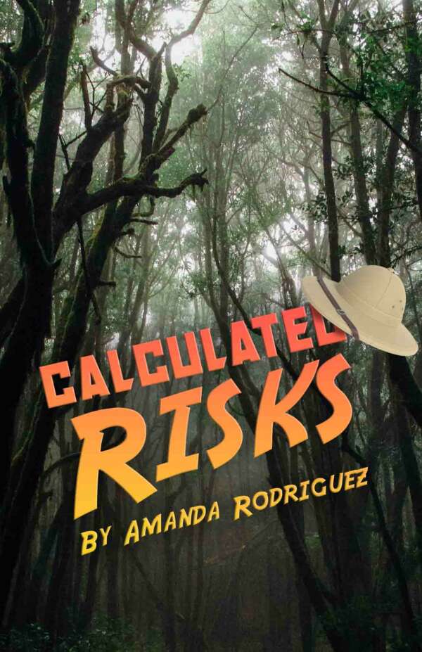 Calculated Risks by Amanda Rodriguez